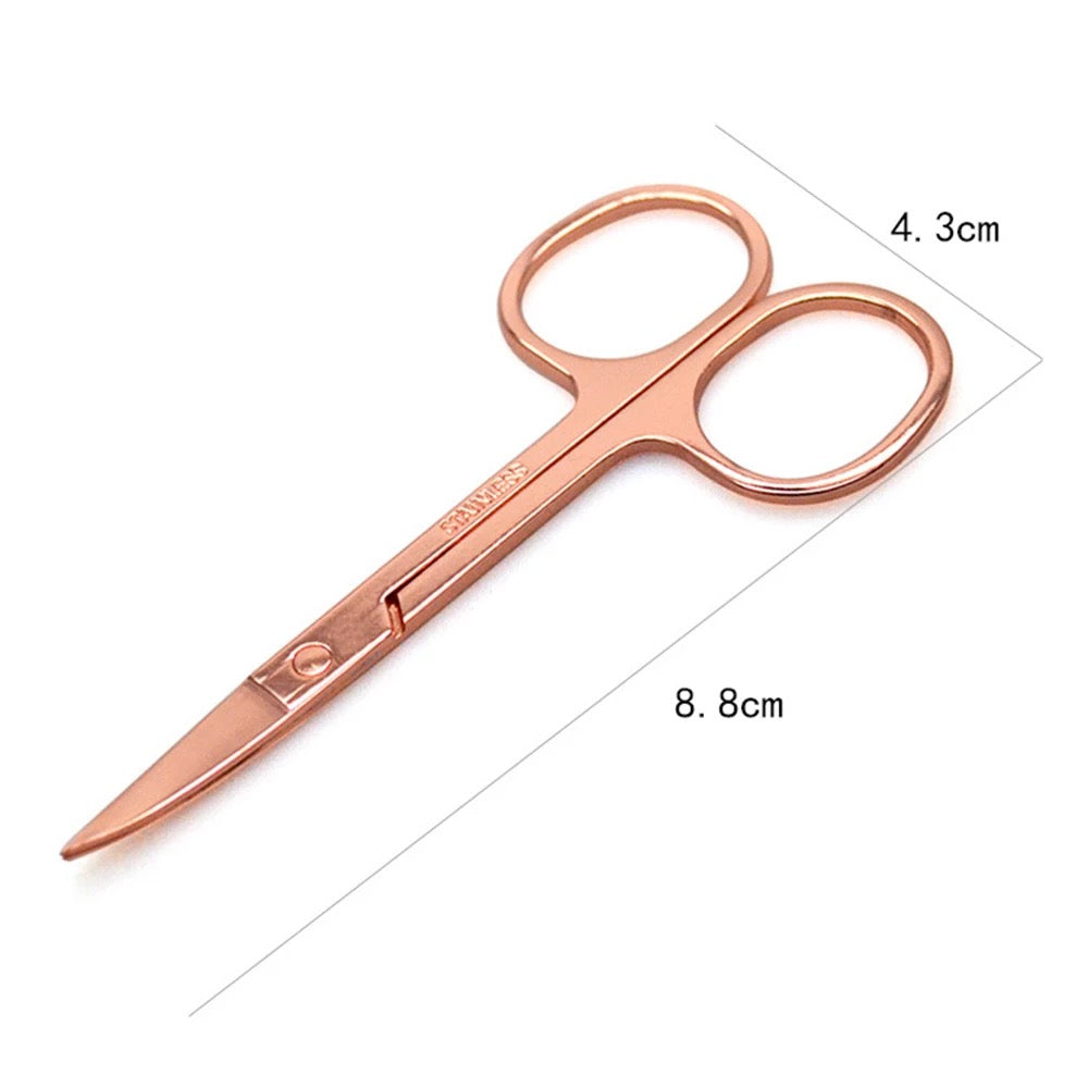 Stainless Steel Scissors